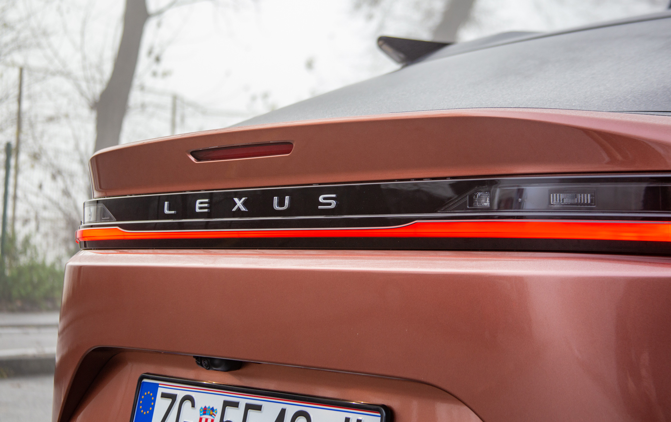 Lexus_RZ450e_vani-20.JPG